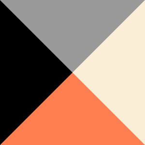 DK GRAY ICE GRAY BK CORAL FL